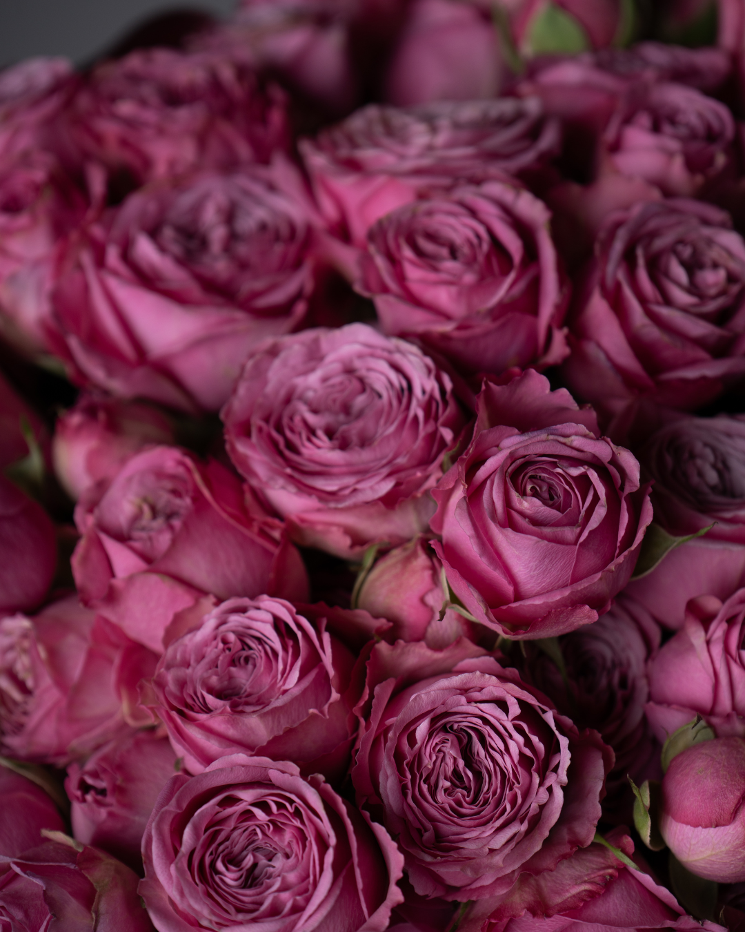 Amethyst - tanella flowers