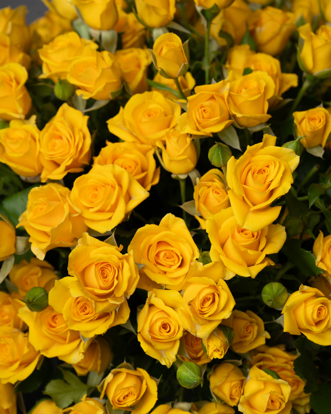 Pineapple Tart - tanella flowers