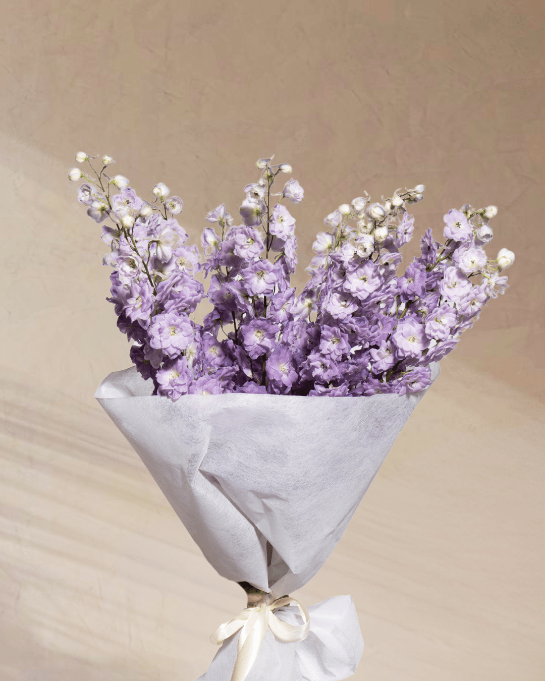 Azure Whispers - tanella flowers