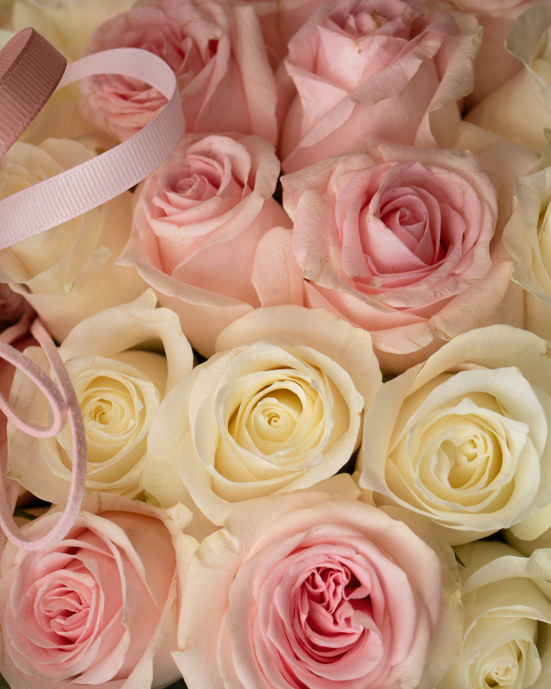 Peach Mousse - tanella flowers