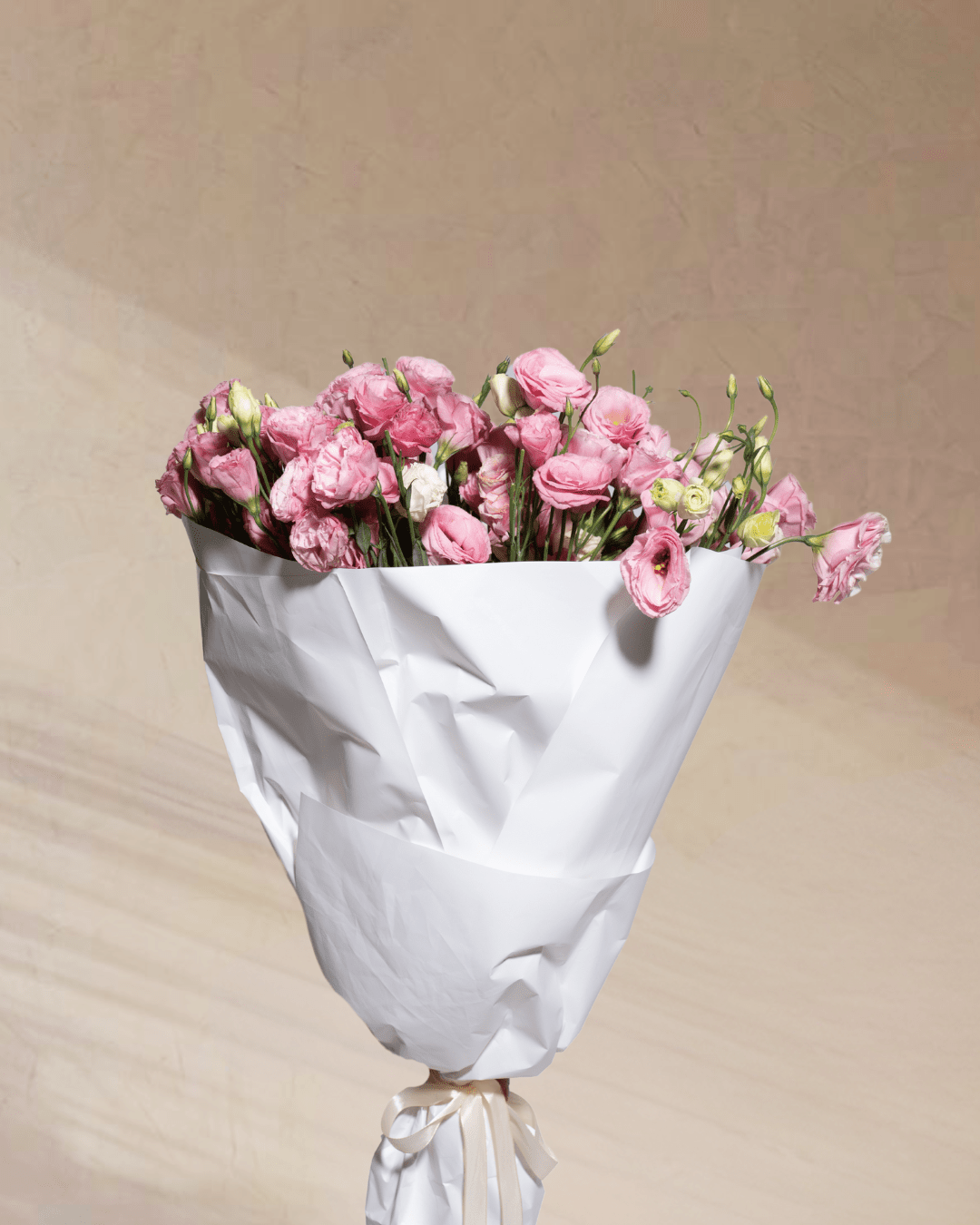 Sugar Plum Dreams - tanella flowers