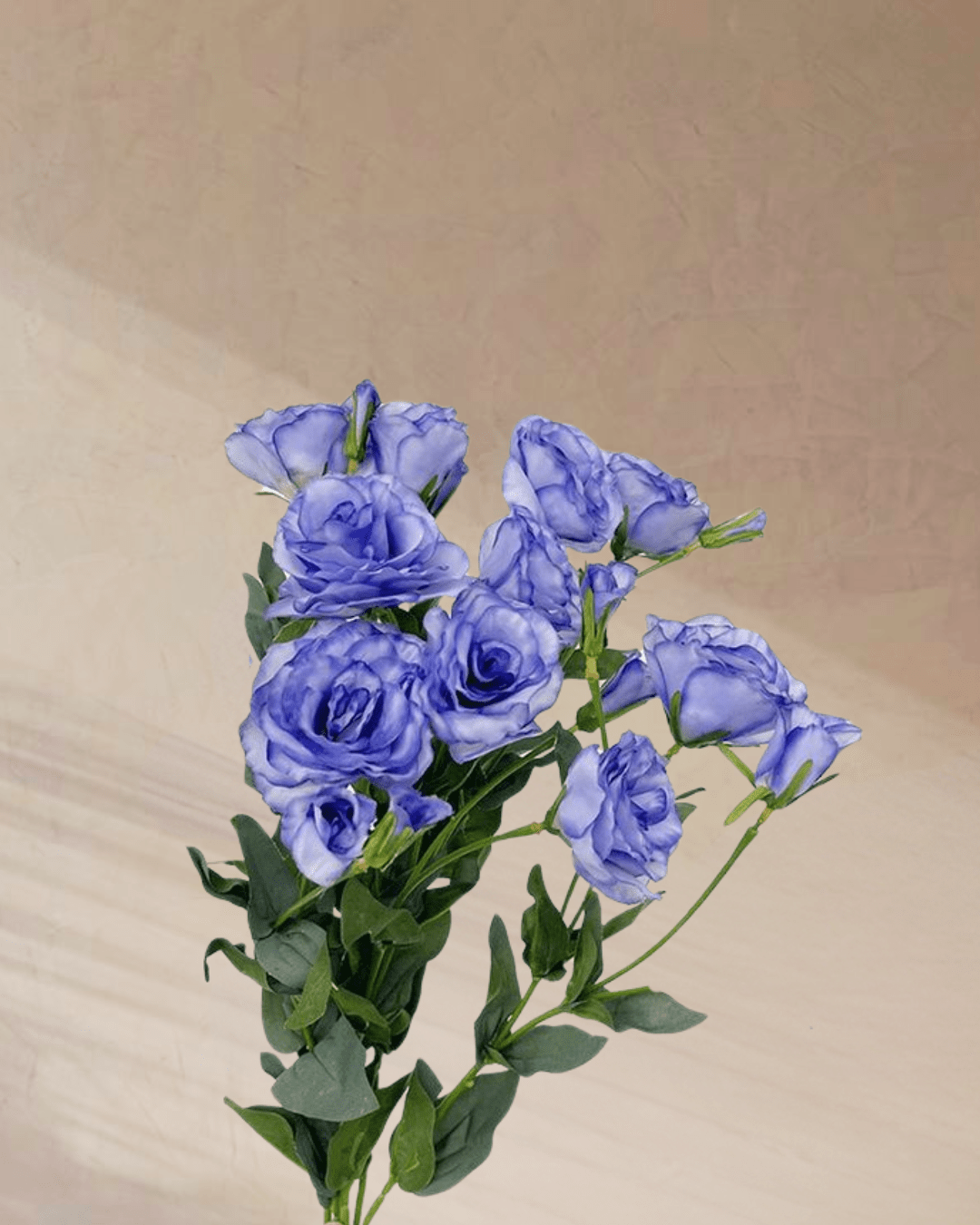 Sugar Plum Dreams - tanella flowers