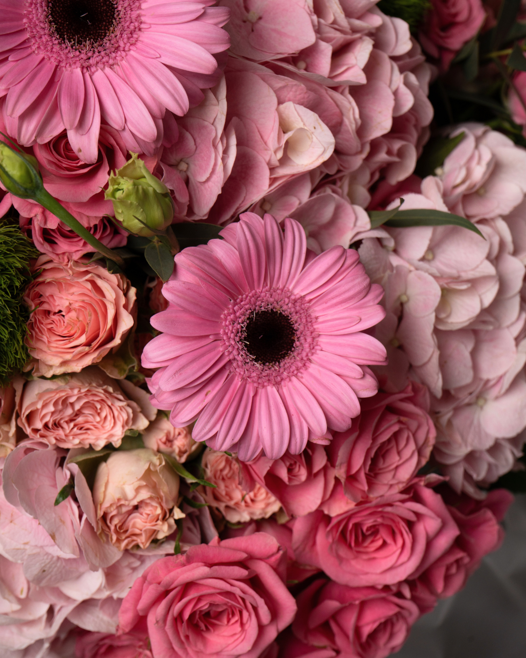 Shades of Rose - tanella flowers