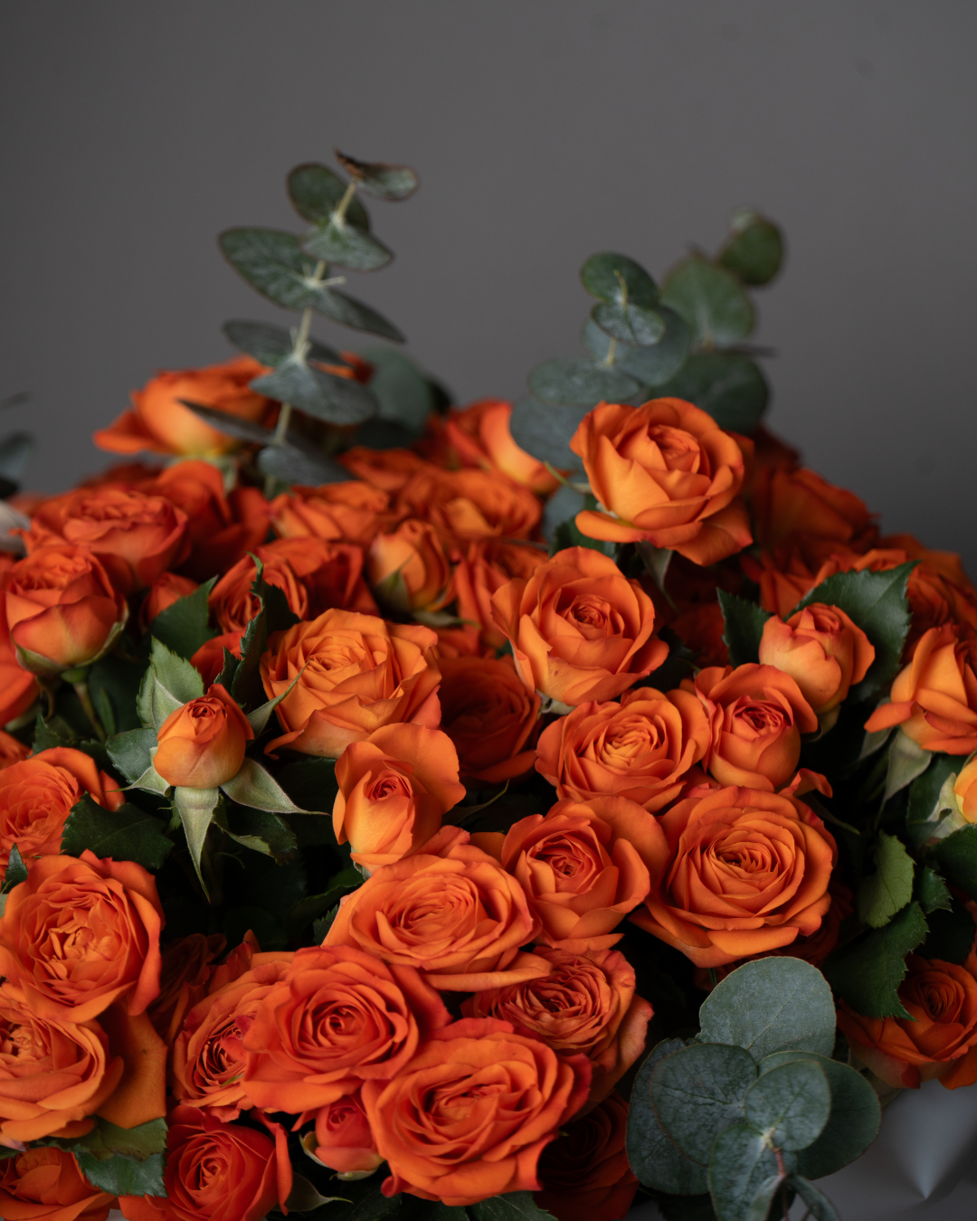 Honeyburst - tanella flowers