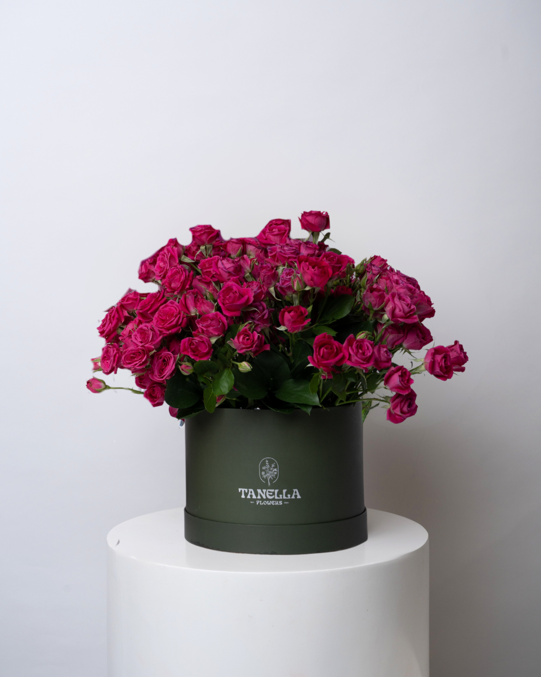 Melty Berry - tanella flowers