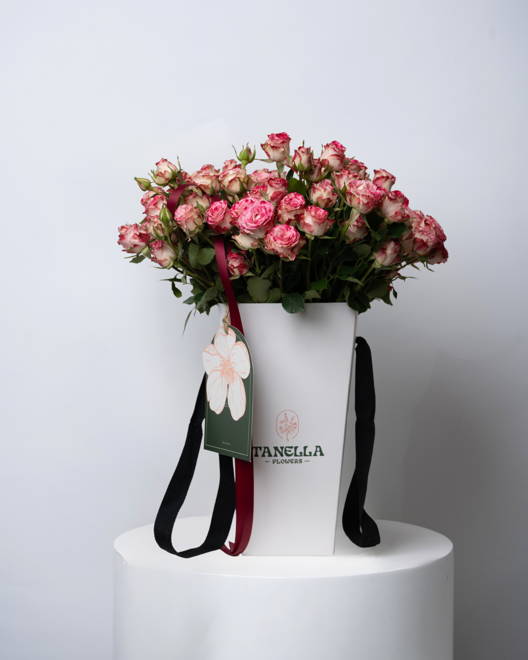 Mini Tanella - starting from 95 AED