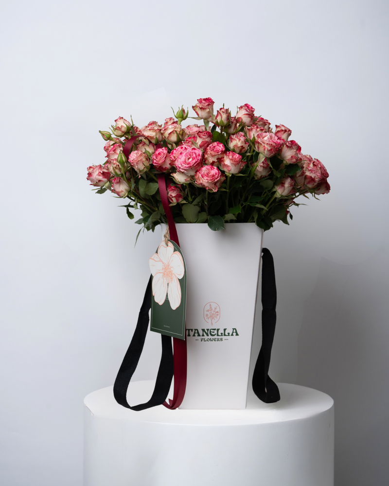 Mini Tanella - starting from 95 AED