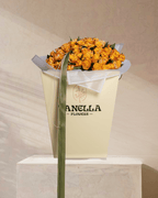 ‎Candlelight - tanella flowers 