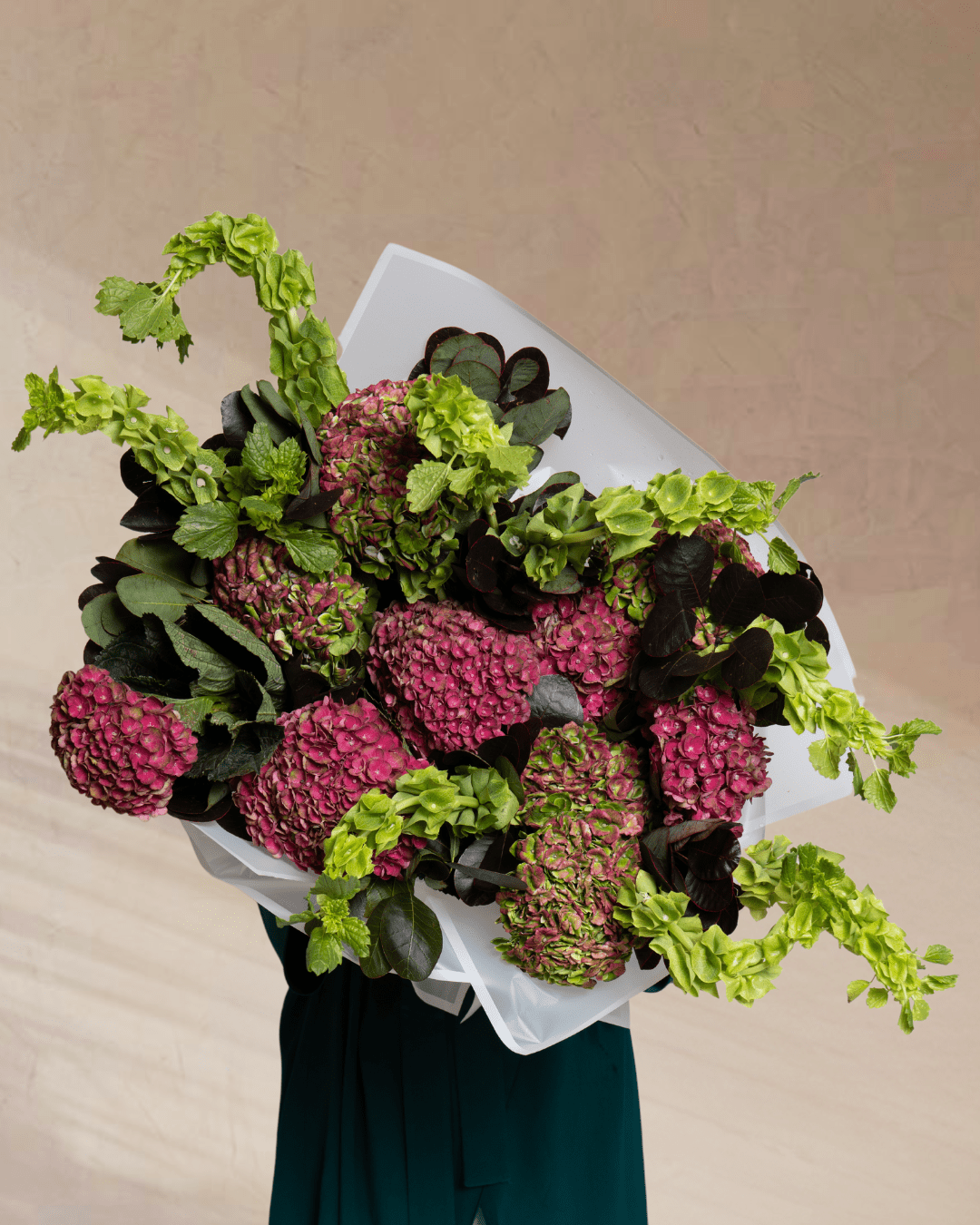 Velvet Ivy - tanella flowers 