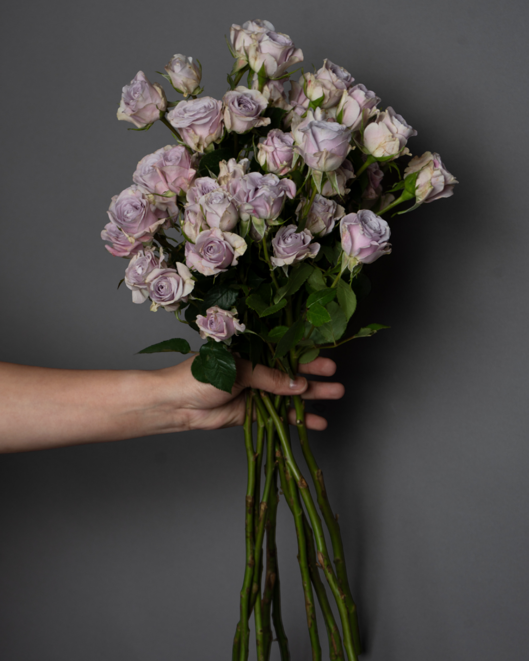 Spray Rose Light Purple - tanella flowers 