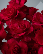 Cherie - tanella flowers 