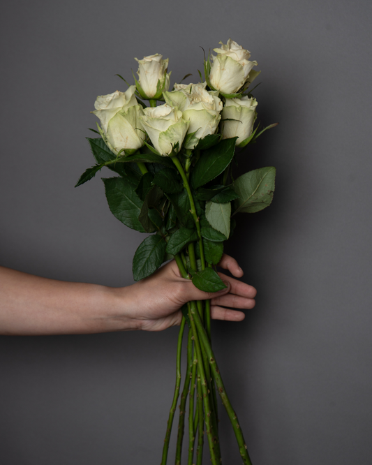 Spray Rose Light yellow - tanella flowers 