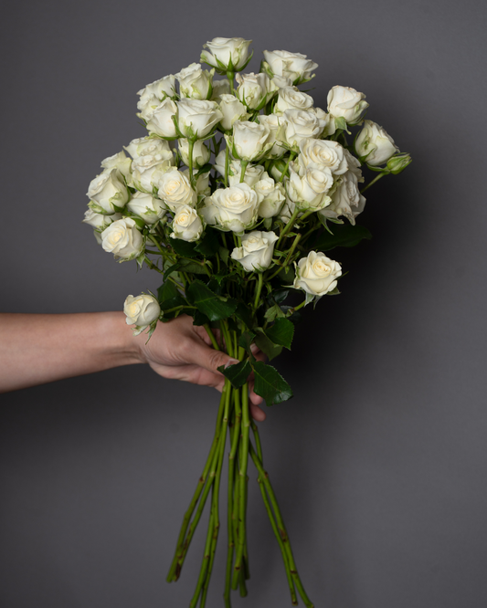 Spray Rose White - tanella flowers 