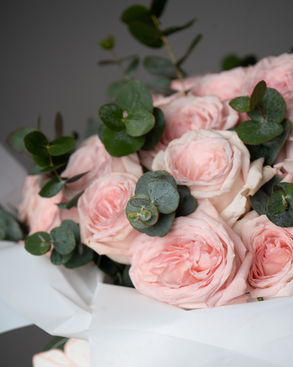 Rosette - tanella flowers 