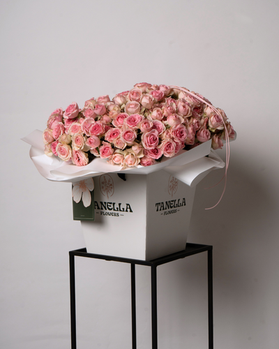 Coquette - tanella flowers 