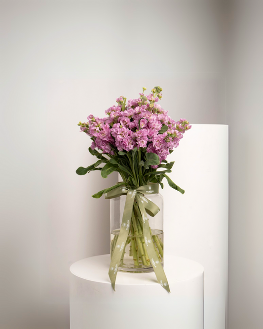 Mathiola Lavender Vase - tanella flowers 