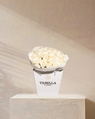 Solo Grace - tanella flowers 