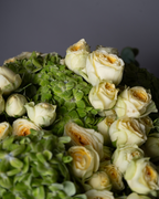 Matcha - tanella flowers 