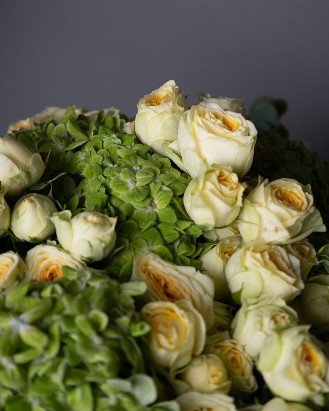 Matcha - tanella flowers 