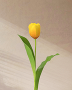 Confetti - tanella flowers 