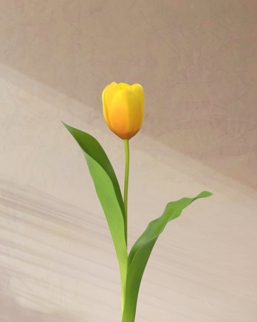 Confetti - tanella flowers 