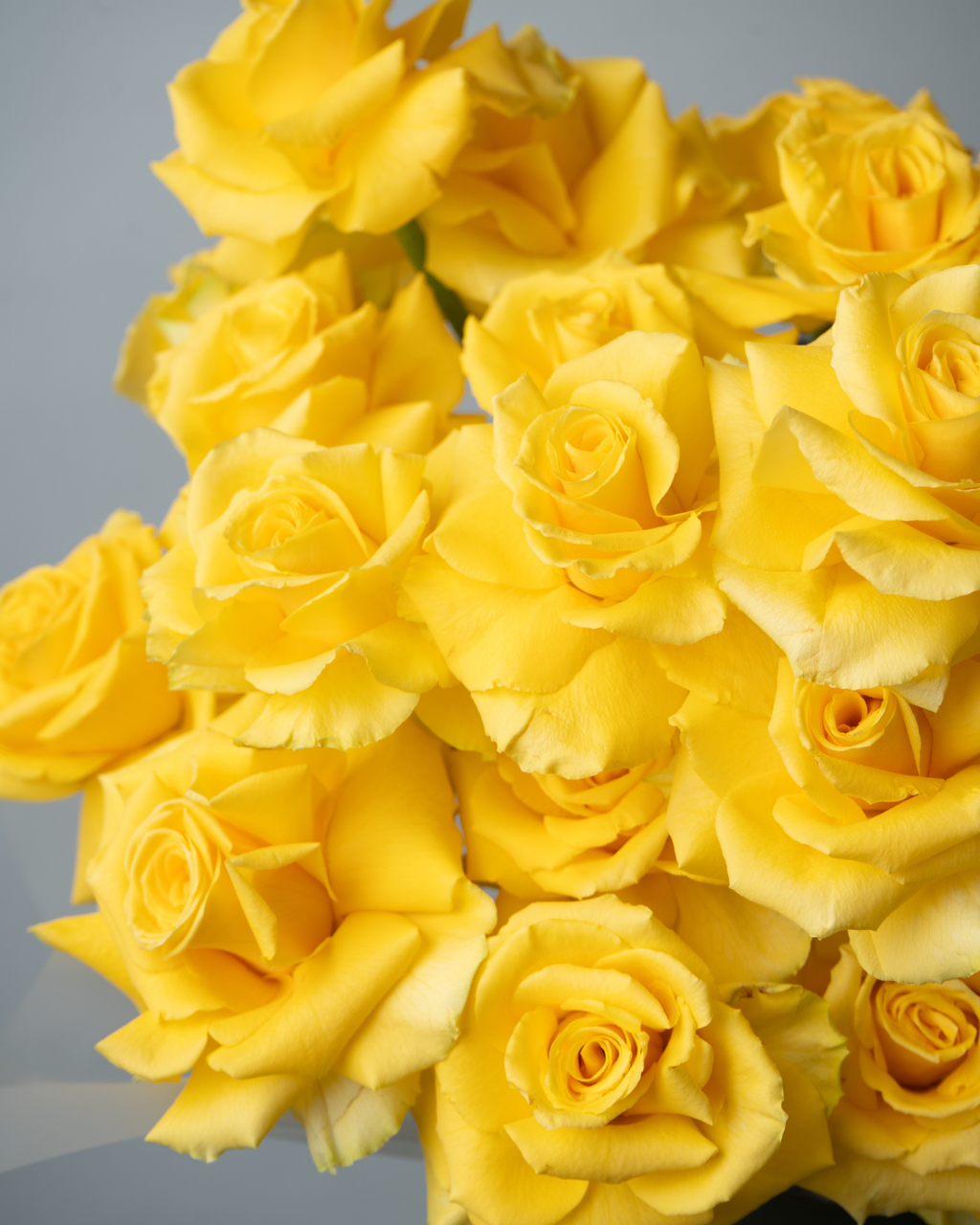 Glam - tanella flowers 