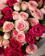 Strawberry Swirl - tanella flowers 