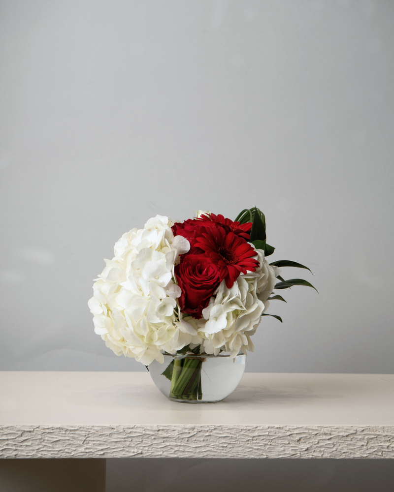 Pride of the Emirates - tanella flowers 