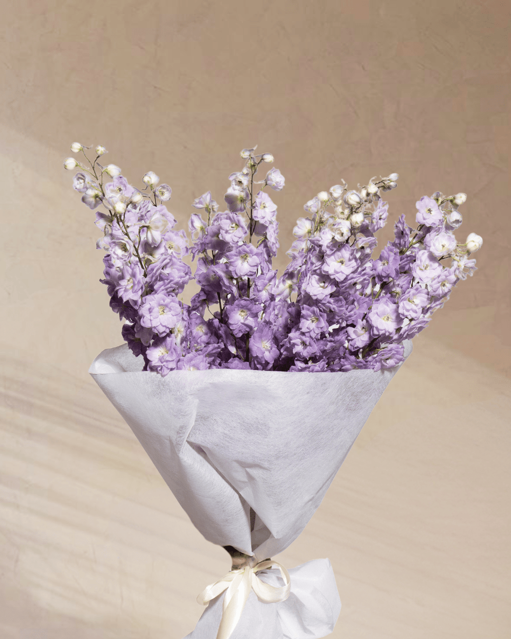 ‎Azure Whispers - tanella flowers 