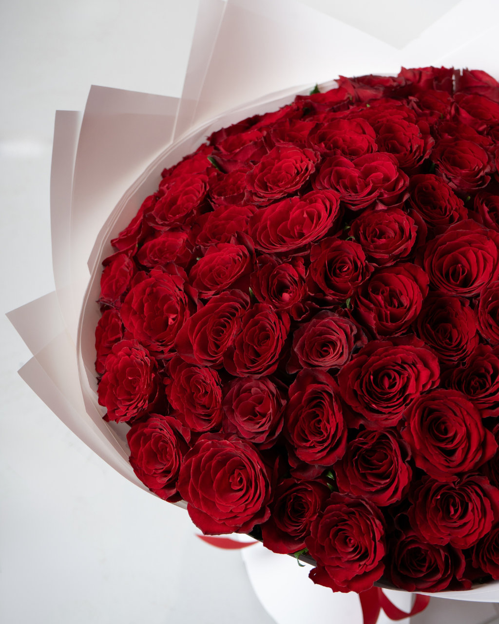 The One Bundle - tanella flowers 