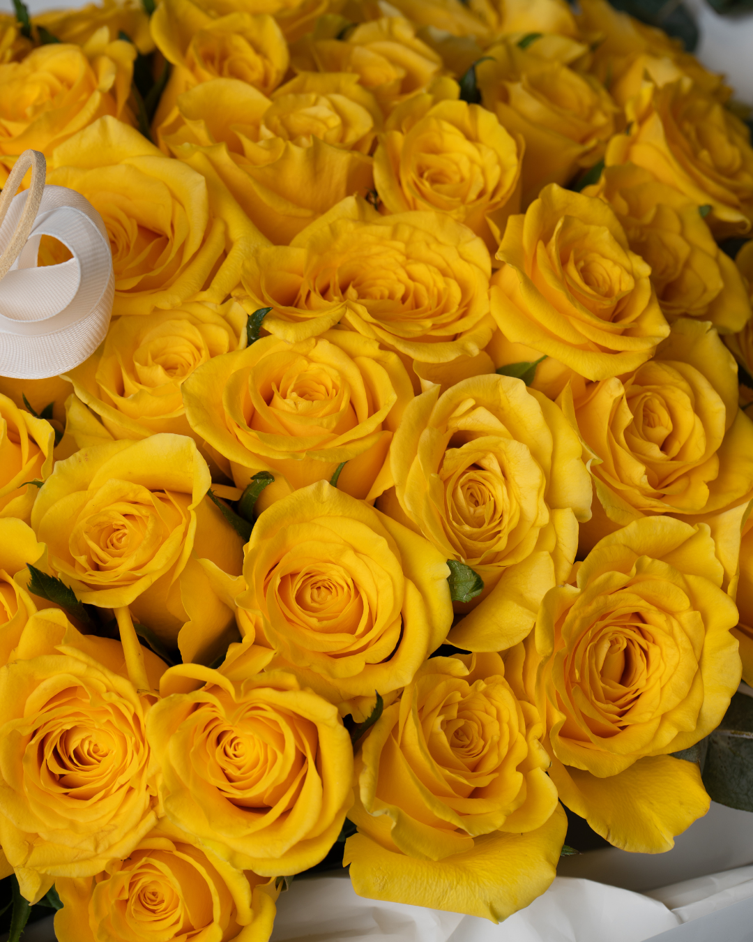 Citrus Soufflé - tanella flowers 