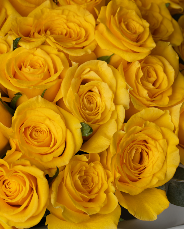 Citrus Soufflé - tanella flowers 