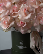 Blushie - tanella flowers 