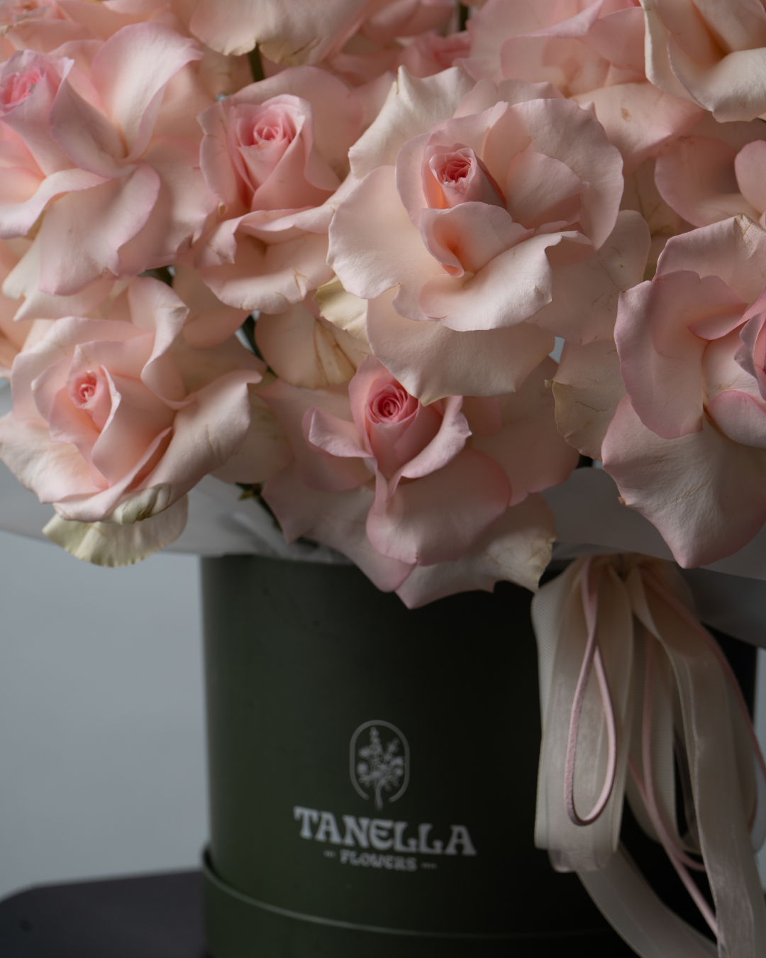 Blushie - tanella flowers 