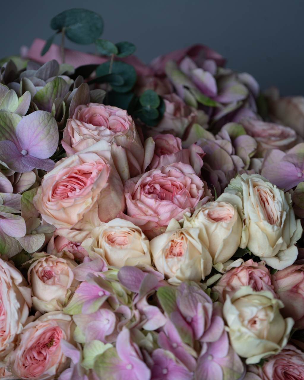 Macaron - tanella flowers 