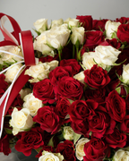 Red Velvet Whip - tanella flowers 