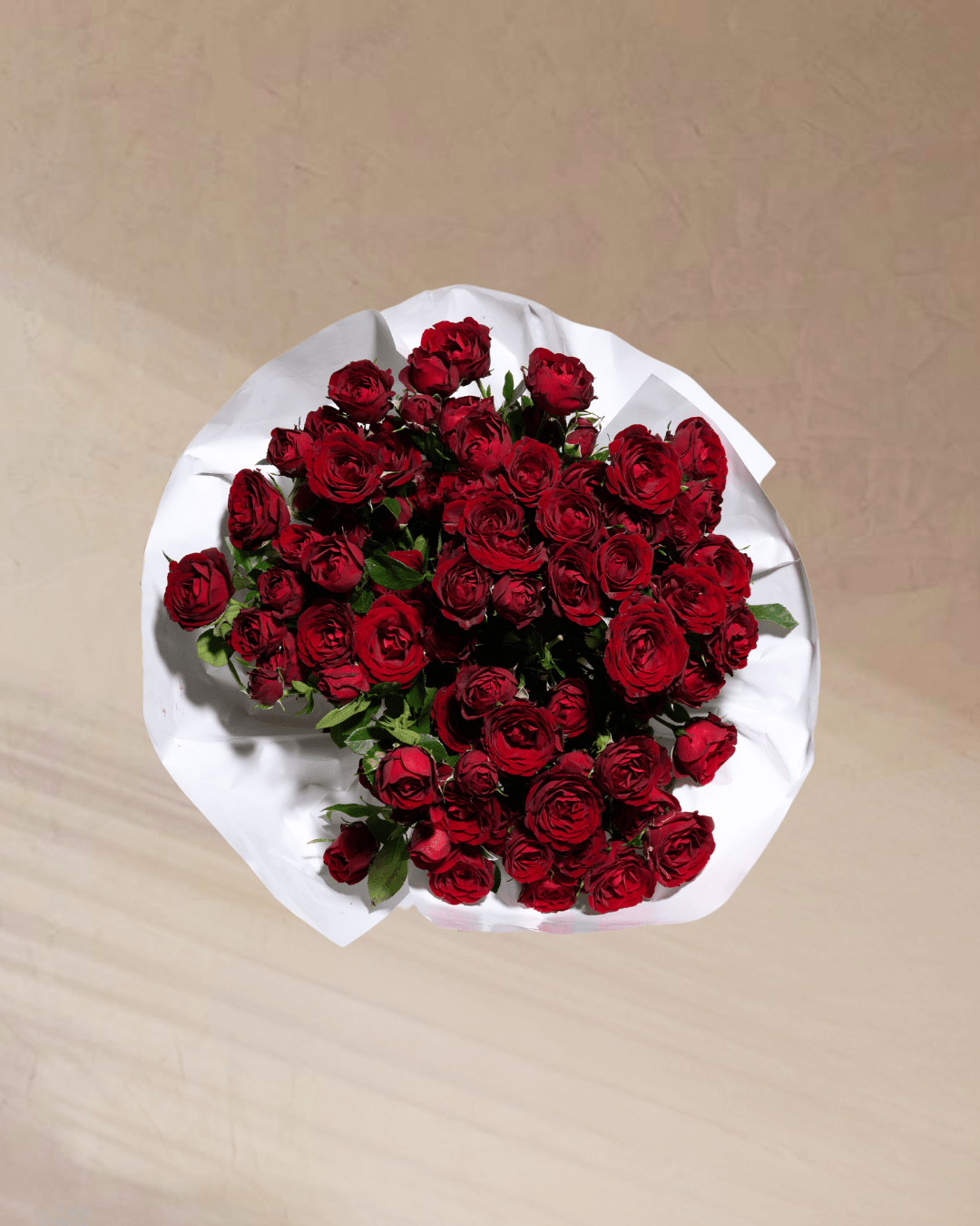 Petite Rouge - tanella flowers 