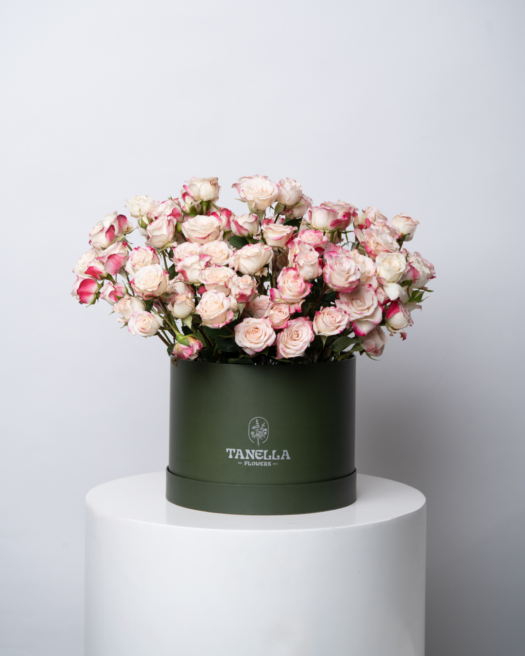 Dreamberry - tanella flowers 