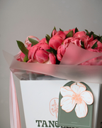 Pink Macaron - tanella flowers 