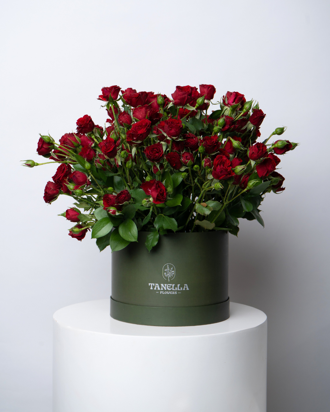 Ruby Cocoa - tanella flowers 