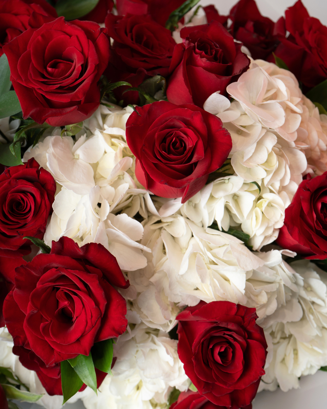 Heartbeat Bundle - tanella flowers 