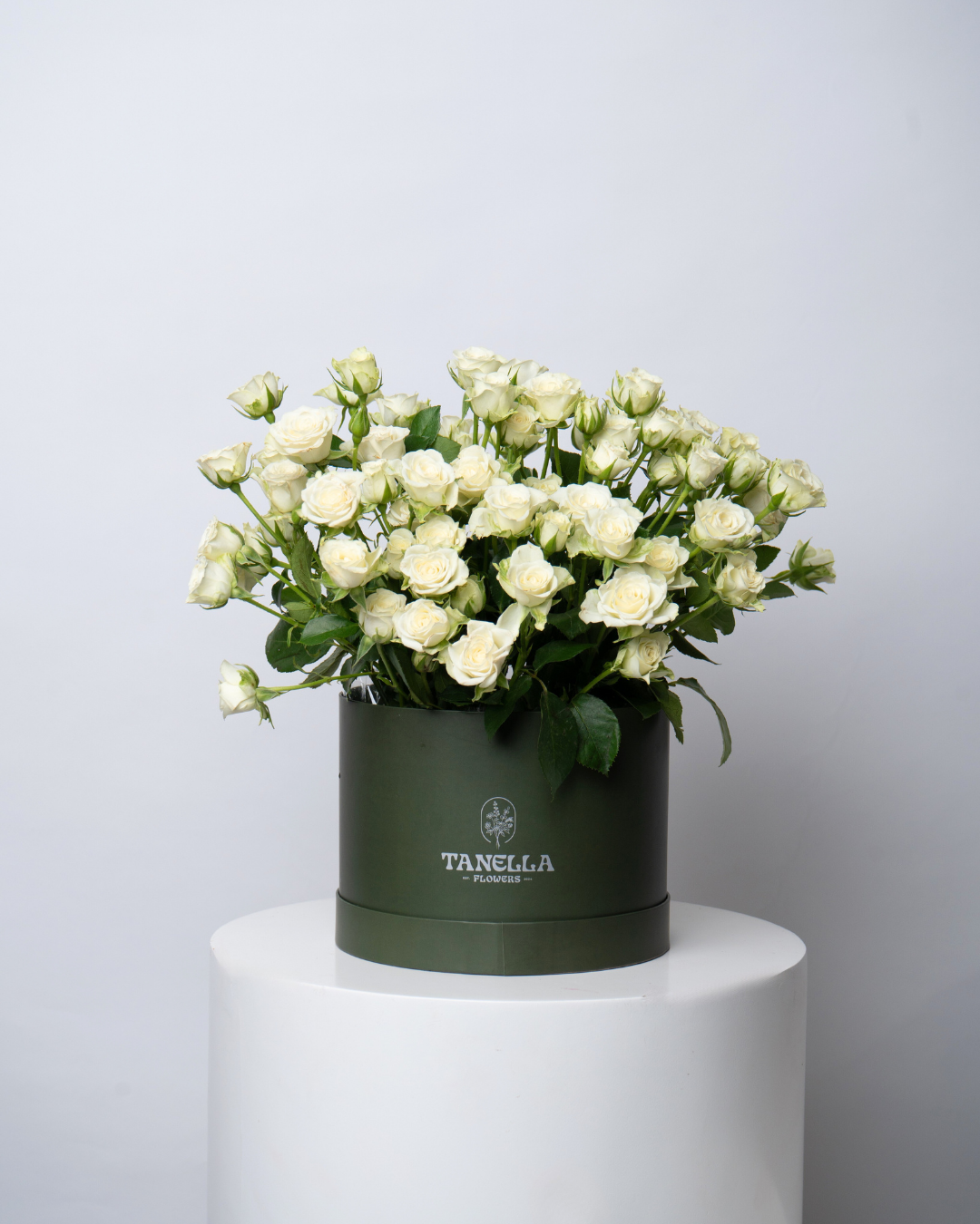 Vanilla Whip - tanella flowers 