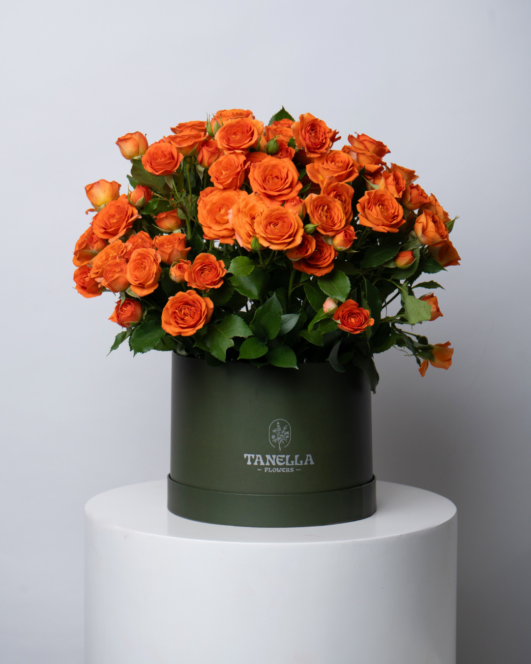 Clementine Sizzle - tanella flowers 