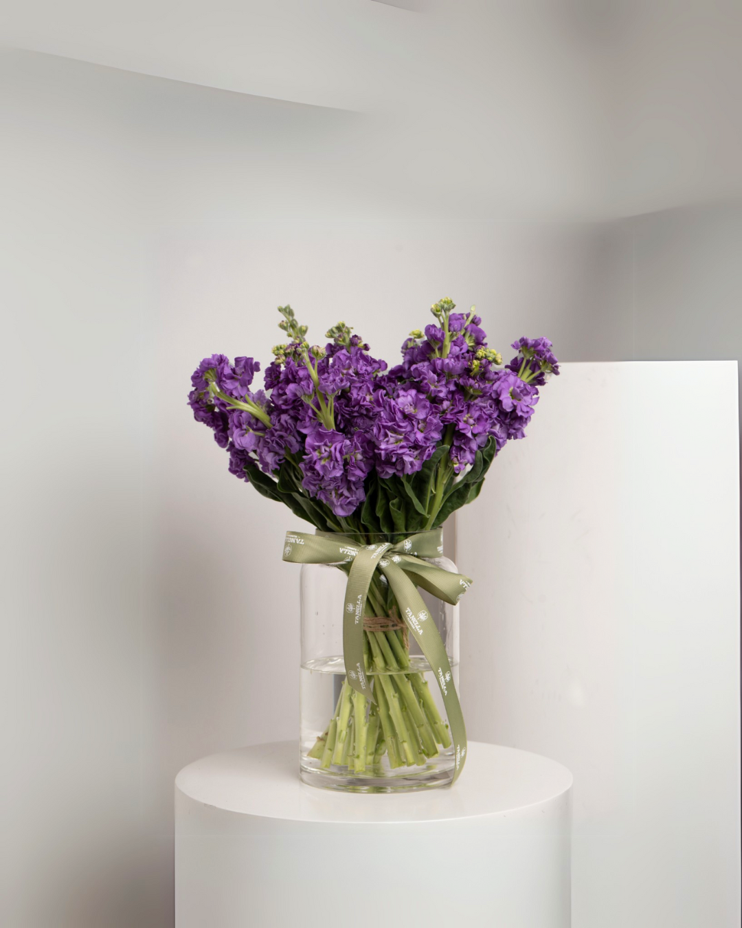 Mathiola Dark Purple Vase - tanella flowers 