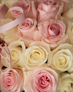 Peach Mousse - tanella flowers 