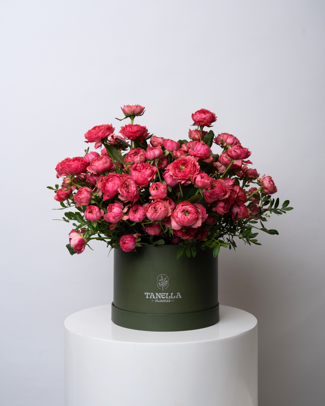 Electric Sorbet - tanella flowers 