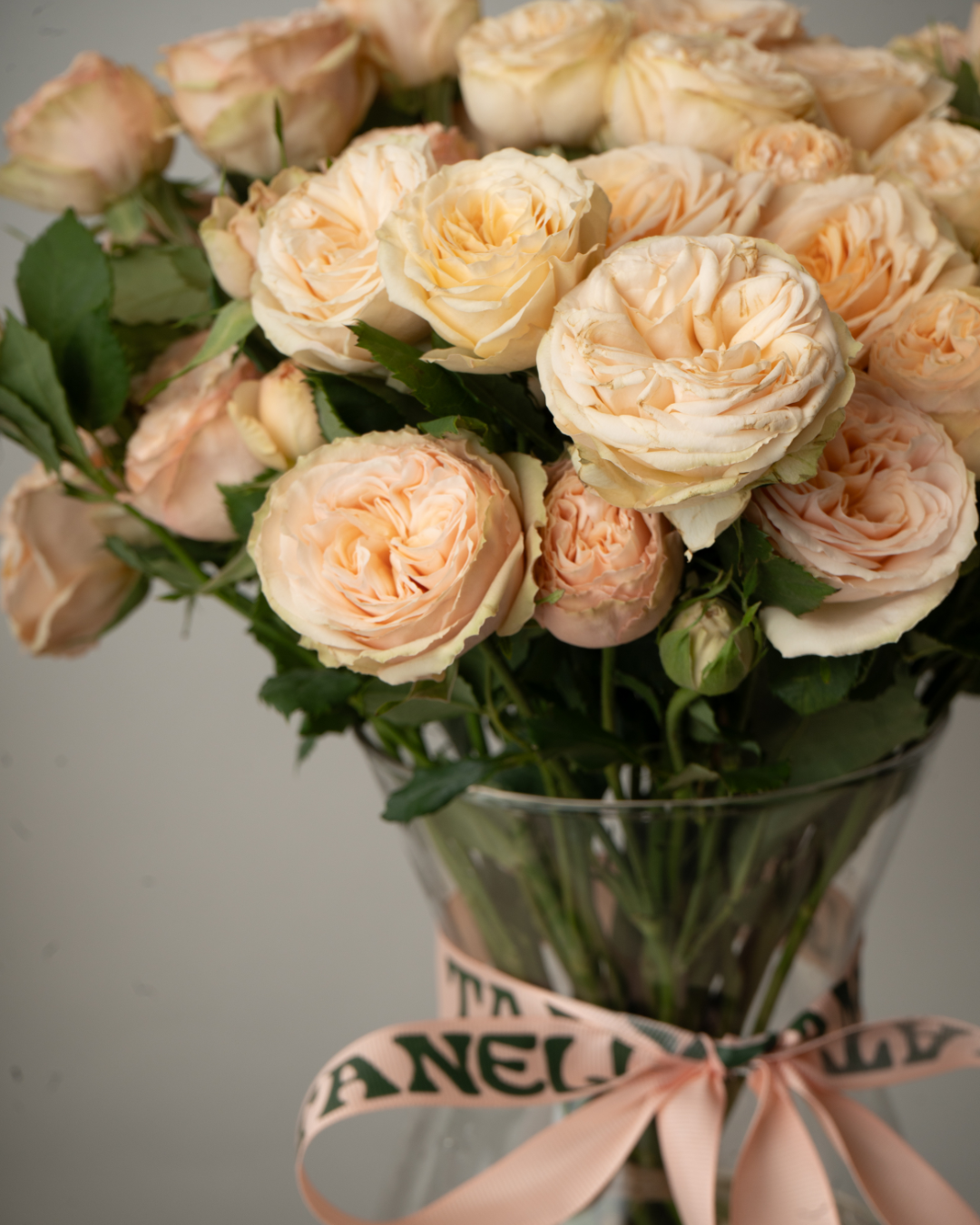 Crème Brûlée - tanella flowers 