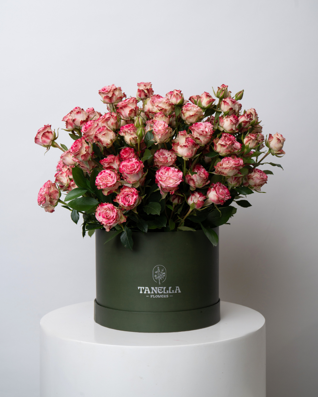 Blush Biscuit - tanella flowers 