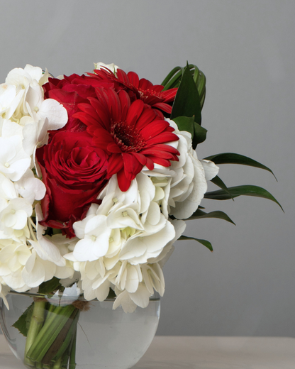 Pride of the Emirates