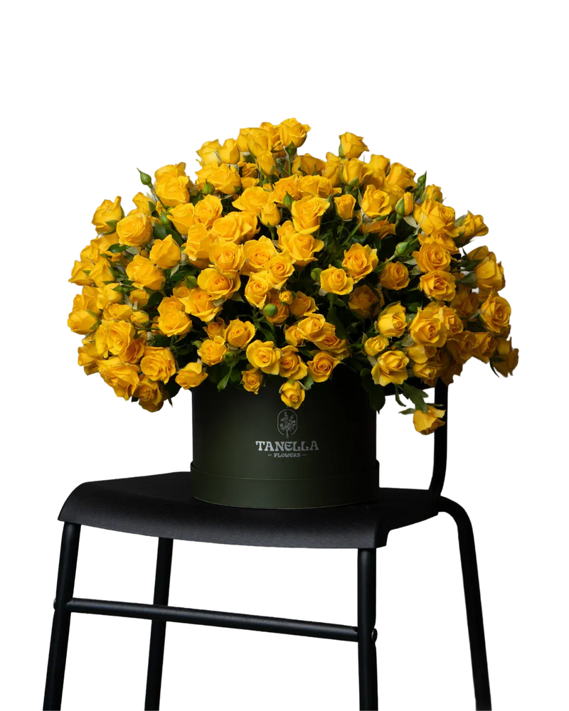 Blooming Box